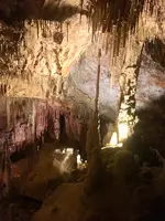 Drachenhöhle 4118.webp