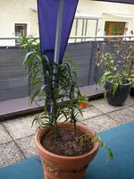 07_10_2020 (12).webp