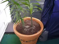 07_10_2020 (13).webp