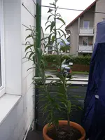 07_10_2020 (14).webp