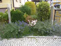07_10_2020 (23).webp