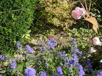 04_10_2020 (1).webp