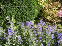 04_10_2020 (2).webp