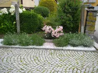 19_07_2020 (4).webp