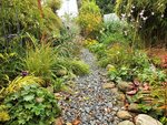 DSCF4190 (2).JPG
