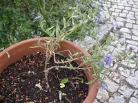 08_10_2020 (7).webp