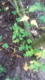 20201008_165442.webp