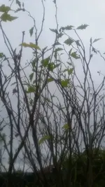 20201008_165420.jpg