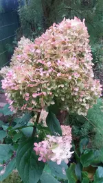 20201008_165647.webp