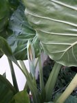 20201004_184847.jpg