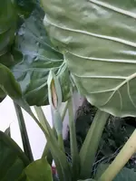 20201004_184847.jpg