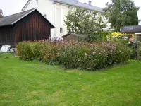 07_10_2020 (17).webp