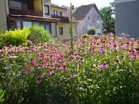 01_08_2020 (78).webp