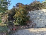 IMG_20200930_180422Magno1.jpg