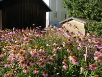 20_08_2020 (5).webp