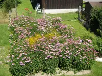 01_08_2020 (2).webp