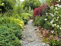 DSCF3917 (2).webp