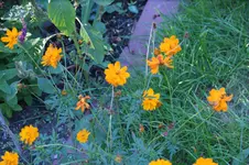DSC09413.webp