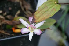 DSC09429.webp