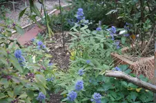 DSC09432.webp
