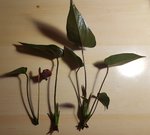 20201009_213102.jpg
