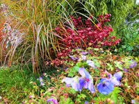 DSCF4194 (3).webp