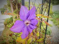 DSCF4189 (2).webp