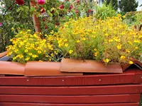 DSCF4193 (2).webp