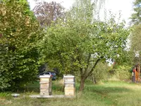P1010830.webp