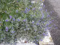07_10_2020 (24).webp