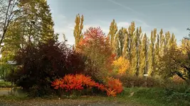IMG_20171018_162556109_HDR.webp