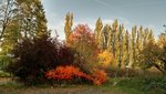 IMG_20171018_162556109_HDR.jpg