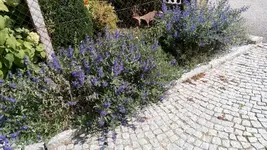 IMG_20200916_122109.webp