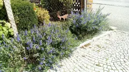 IMG_20200916_122107.webp