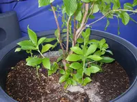 01_08_2020 (54).webp