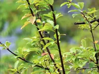 image006.jpg