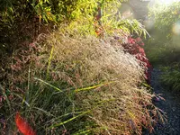 DSCF4209 (2).webp