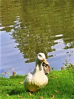IMG_20200915_131453_3.jpg