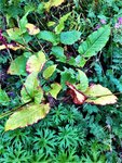 IMG_20200908_125536_1.jpg