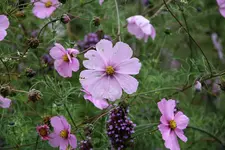 Okt.  0920.webp