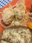 OktoberfestfrühHandkäs.JPG