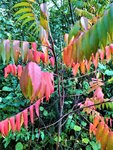 IMG_20201011_145600.jpg