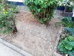 1-IMG_20200910_184151.jpg