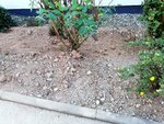 1-IMG_20200910_184156.jpg
