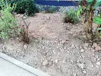1-IMG_20200910_184200.webp