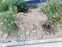 1-IMG_20200910_184205.jpg