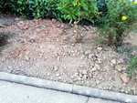 1-IMG_20200910_184209.jpg