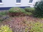 1-IMG_20201011_182023.jpg