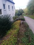 IMG_20201011_182028.jpg