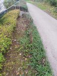 IMG_20201011_182029.jpg